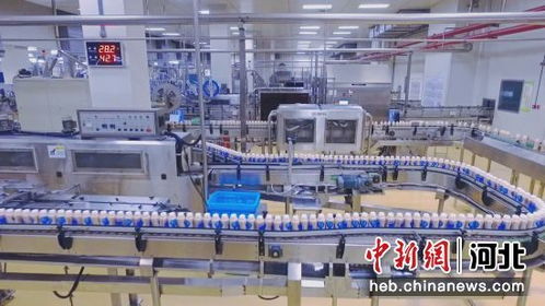 廊坊大廠 龍頭帶動(dòng)打造都市食品產(chǎn)業(yè)集群鳳凰網(wǎng)河北 鳳凰網(wǎng)